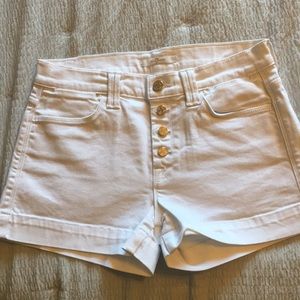 7 For All Mankind Shorts